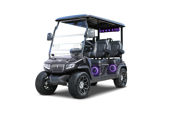 2025 Evolution D5-Ranger 4 Plus Electric