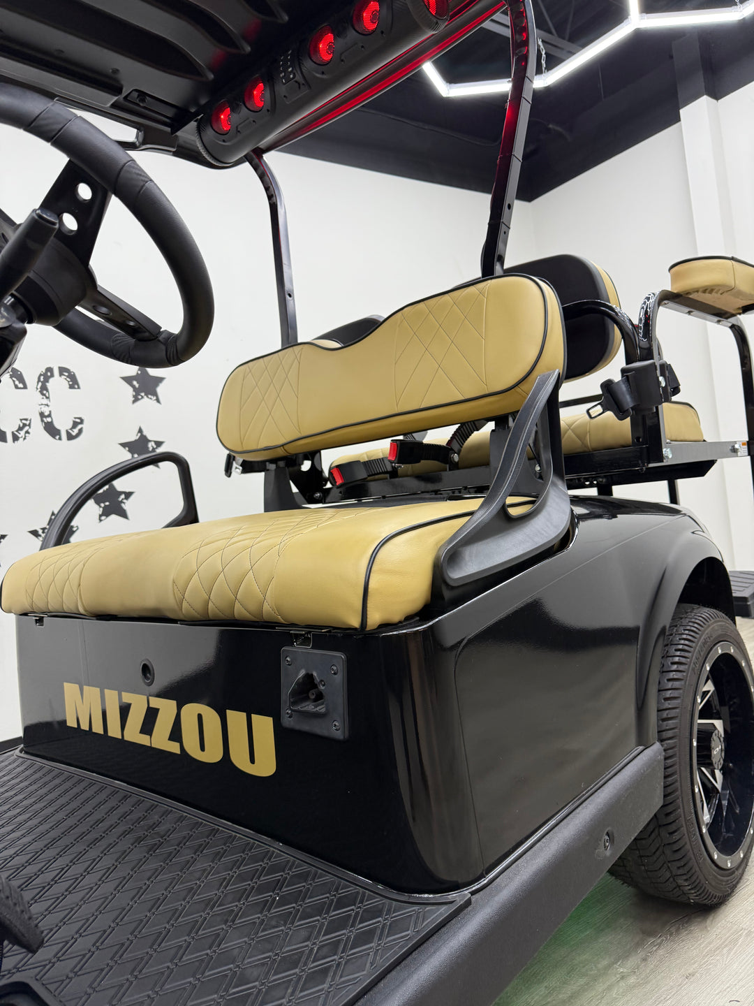 2017 EZGO Mizzou RXV Electric