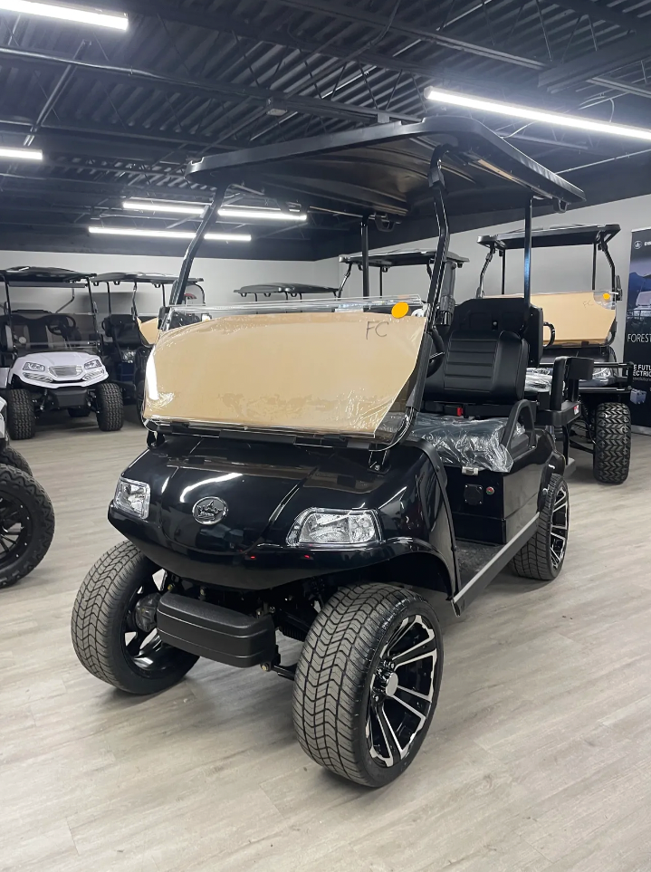 2025 Evolution Classic 4 Plus Electric