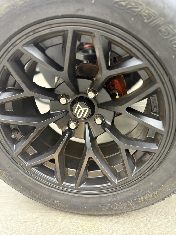 2026 DACH Falcon Rider 2+2 LSV  Electric