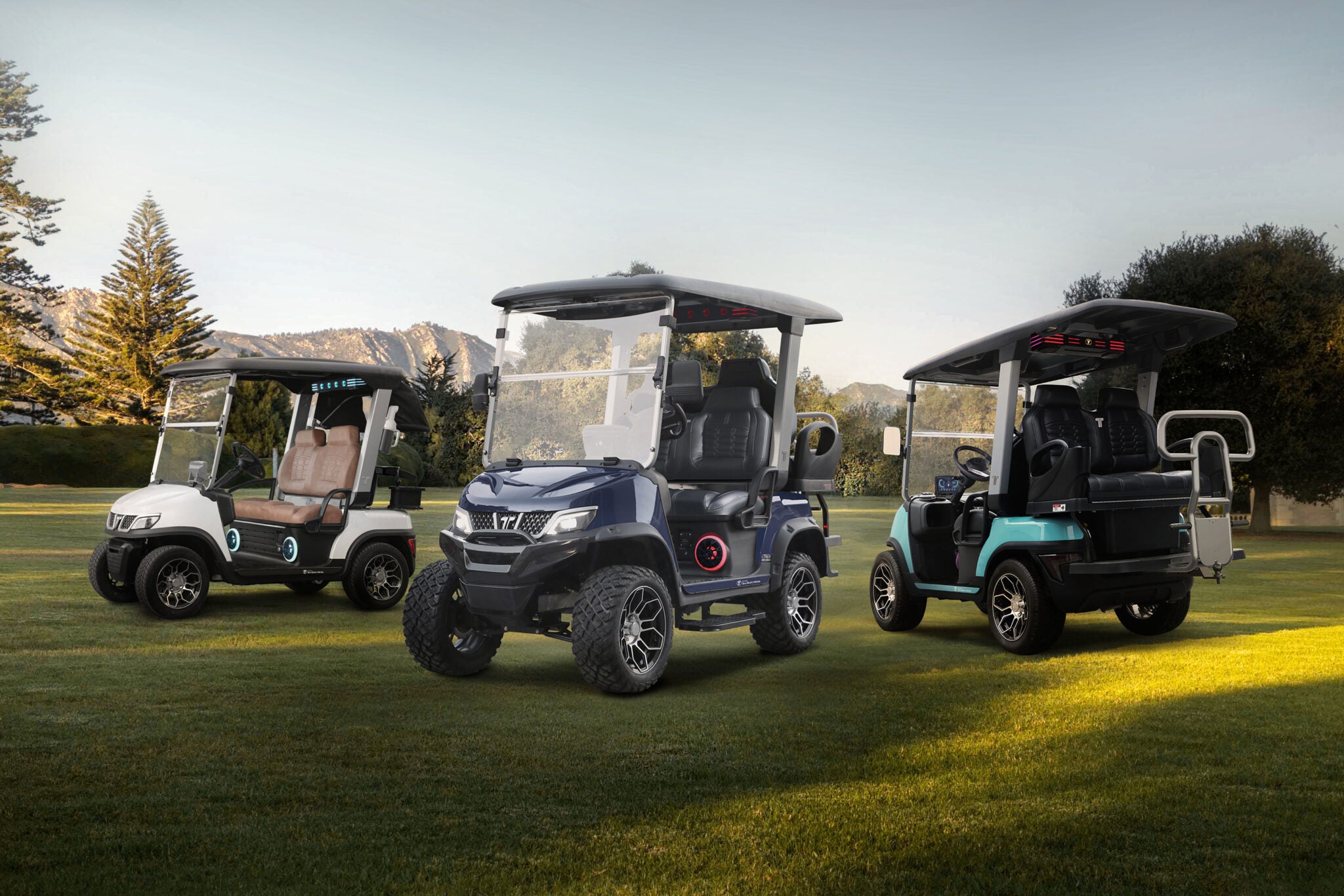 TARA Golf Carts