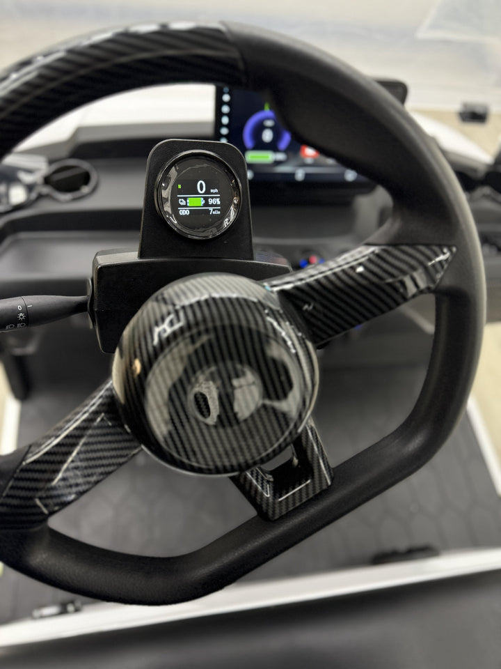 2026 DACH Falcon Rider 2+2 LSV  Electric